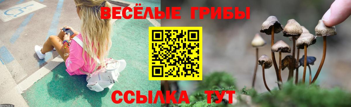 Галлюциногенные грибы прущие грибы  Вход с VPN  Элиста 